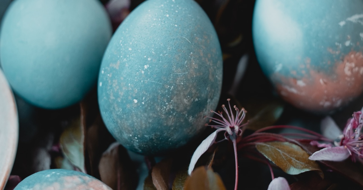 10 Egg-Cellent Examples of Eggcorns