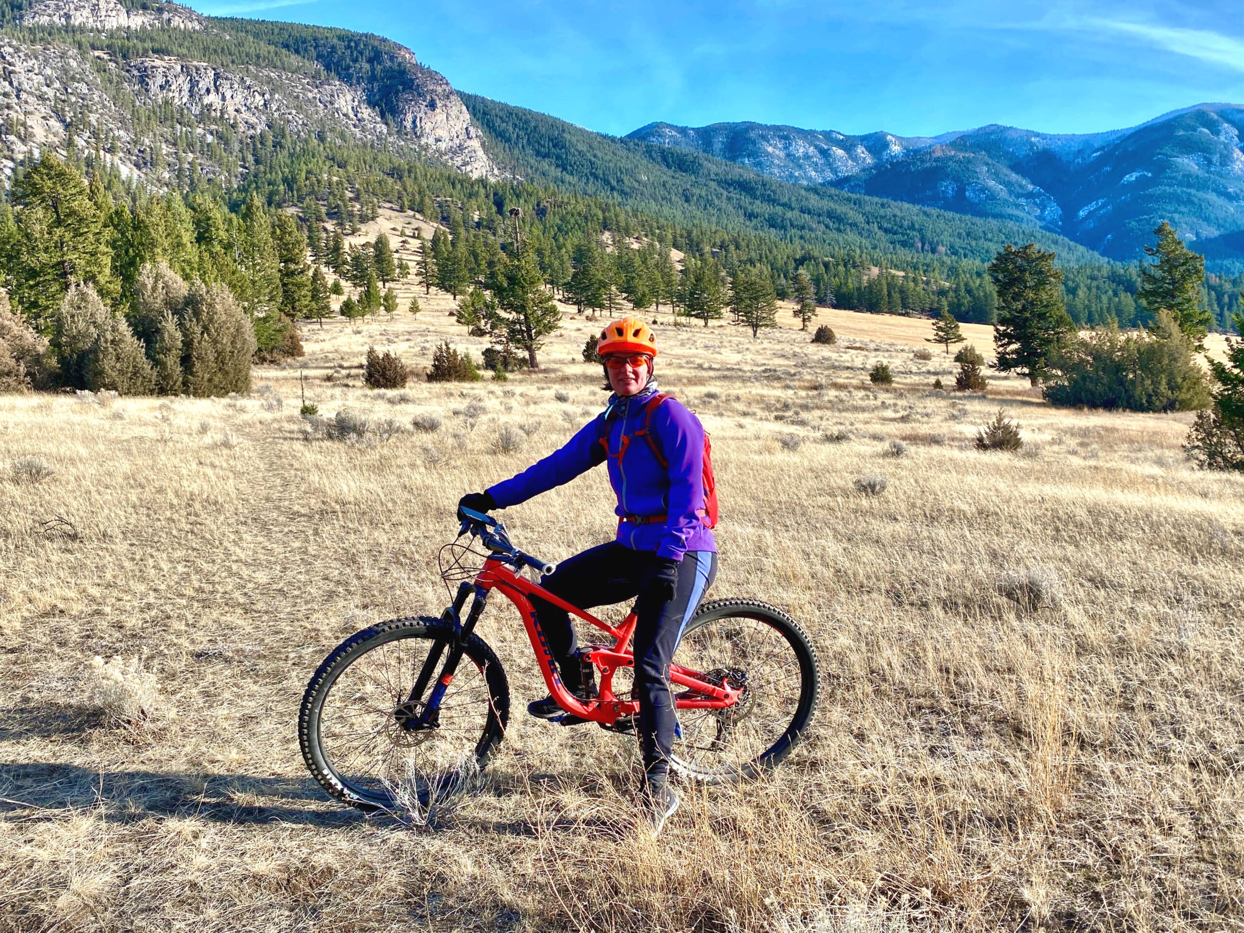 Editor Profiles: Ava (Retirement Job)