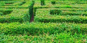 Too much hedging...