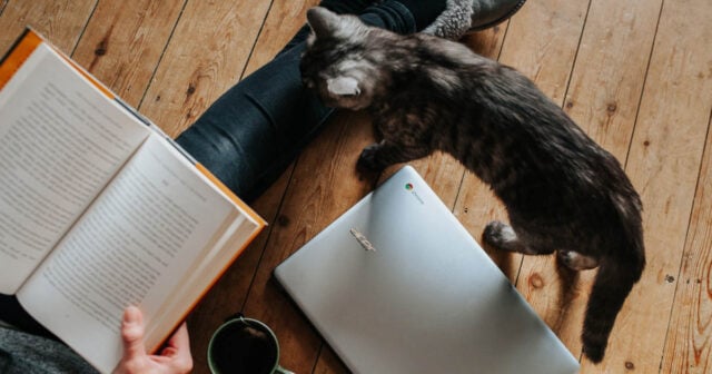5-Tips-on-Having-a-Good-Work-Life-Balance-as-a-Freelancer_21F_jpg.jpg