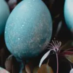10 Egg-Cellent Examples of Eggcorns